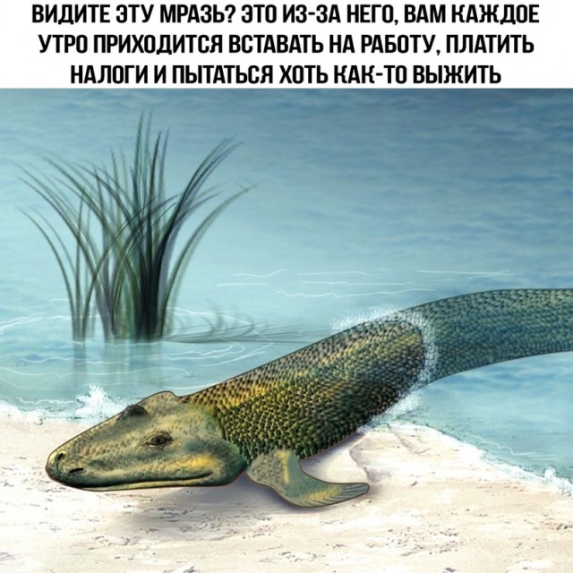 Картинки и мемы - "Жить, как говорится, хорошо..."
