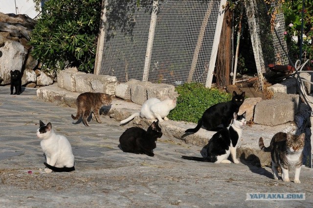 Любовь с первого взгляда