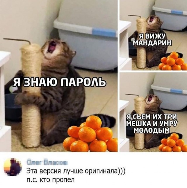 25 воскресных картинок