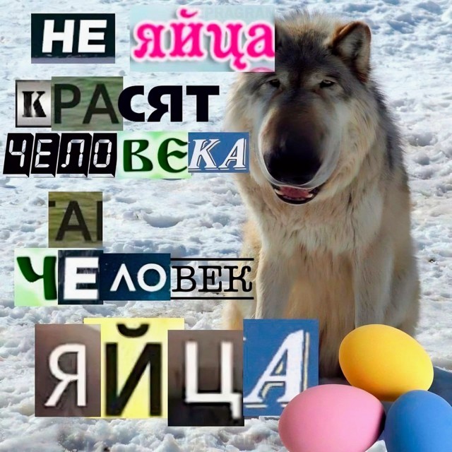 Картинки и мемы, всем хороших выходных