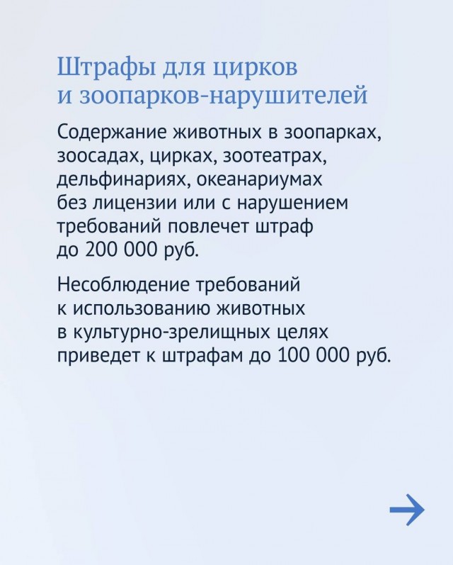 За жестокость к животным и избавление от питомцев могут установить крупные штрафы