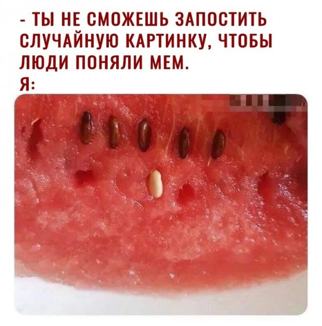 45 пятничных картинок 28.07.2023