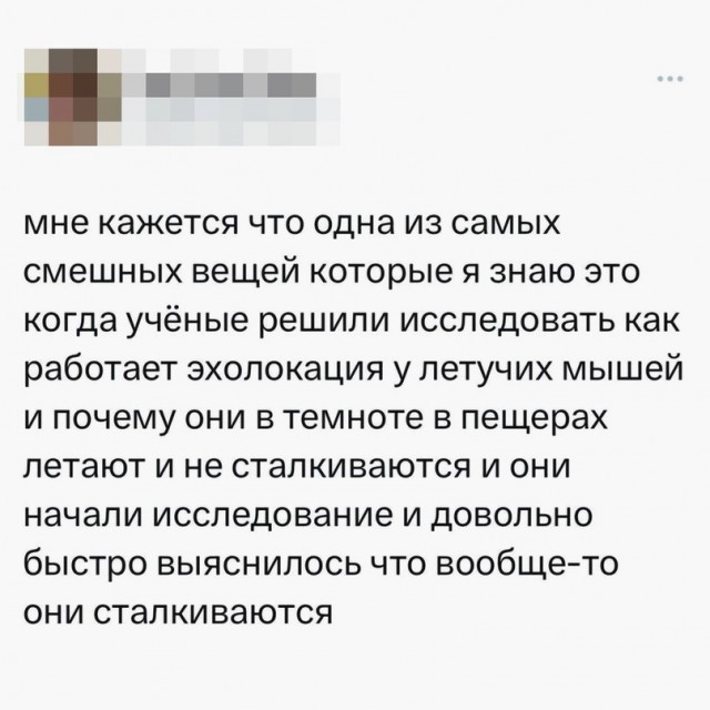 Скупка краденого из сети 08-08-2023