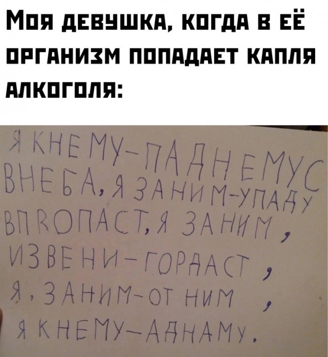 Весёлый полтишок 08.09.23