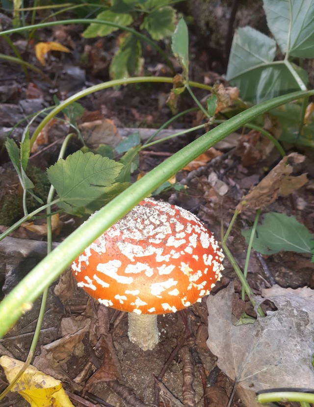 Природа. Урал