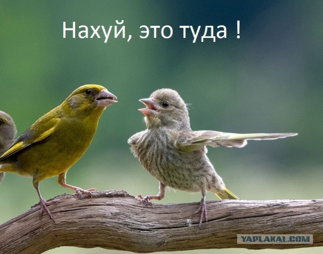 Автодилеры рискуют обанкротиться в 2024 году