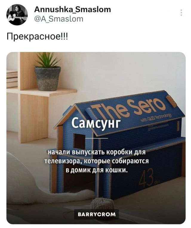 Котокартинки
