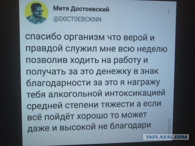 Умер один из самых известных российских фотографов Дмитрий Марков, ему был 41 год
