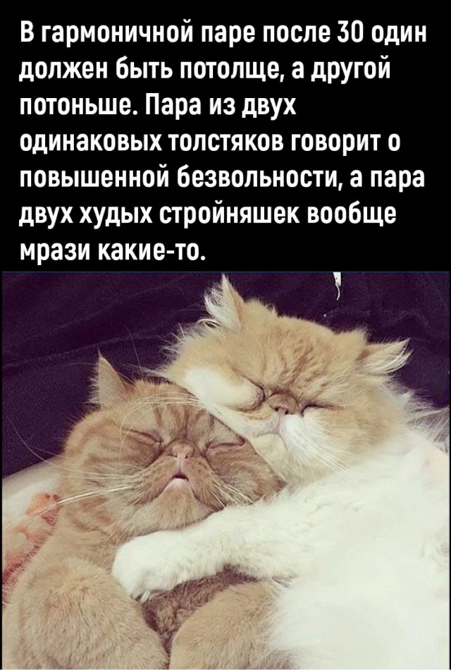 Посмеялся сам - поделись с другом!!!