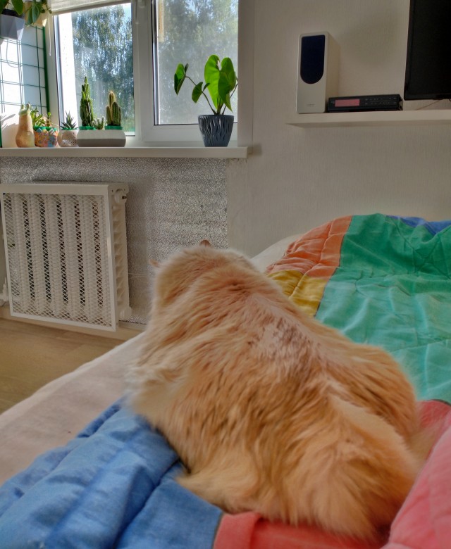 Блин. На меня пацан обиделся!