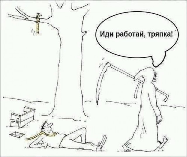 Так себе картинки 06.02.25