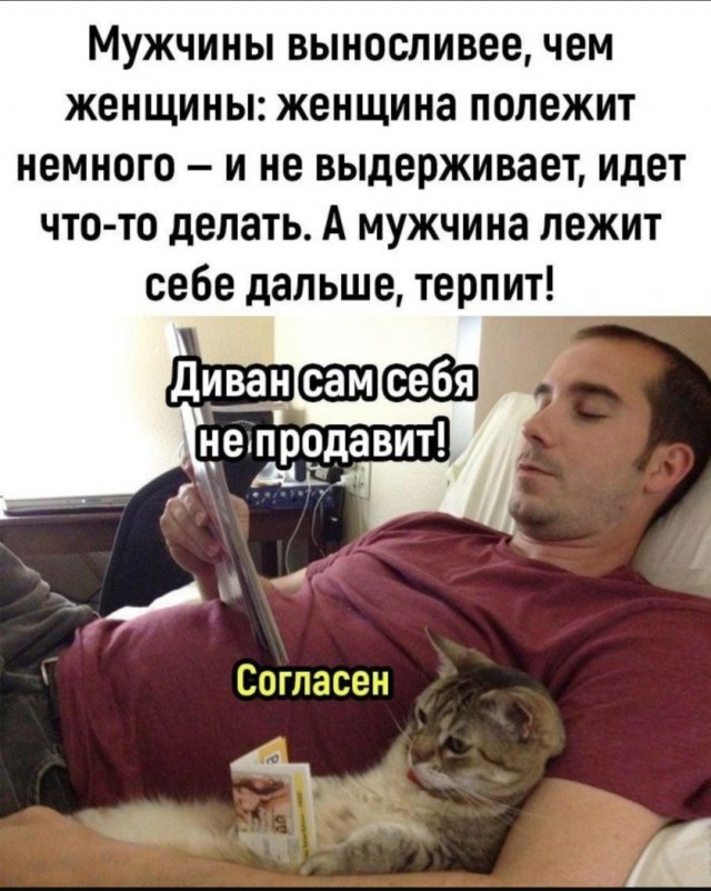 Смешные картинки с надписями и планы на лето 2025