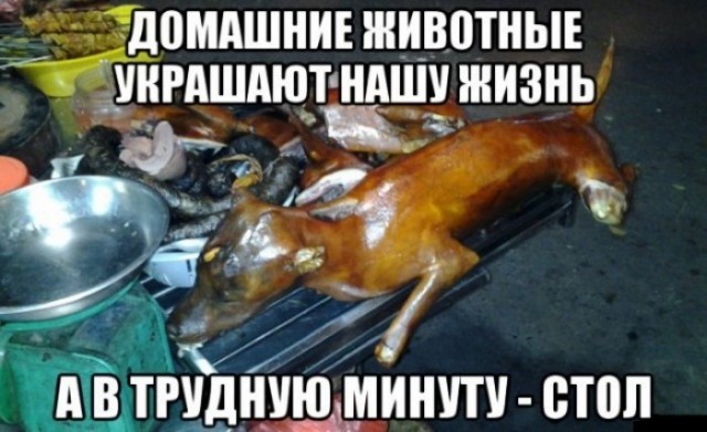 Пора деградировать. Дичь