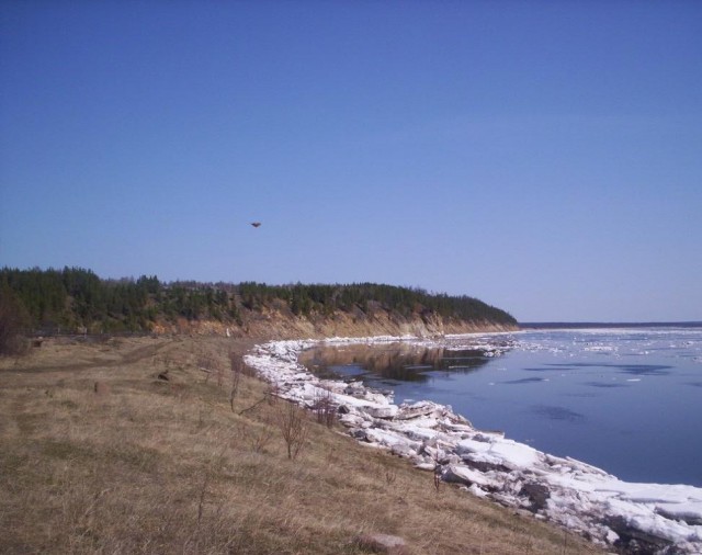 Официальное подтверждение НЛО