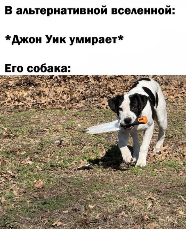 Немного картинок 31.07.25