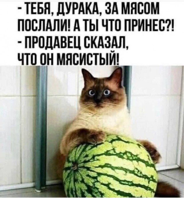 Забавные картинки, шутки из этих ваших интернетов