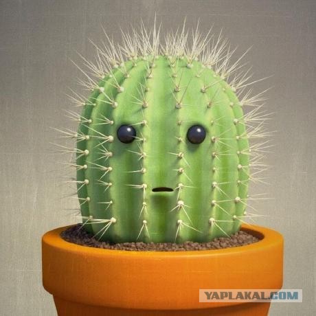 Вопрос по содержанию тем(ы).