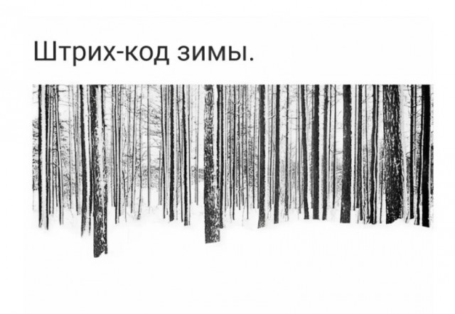 Веселых картинок вам в ленту