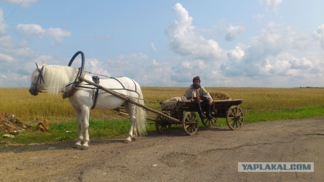 Тыгыдык как на коне, только без коня.