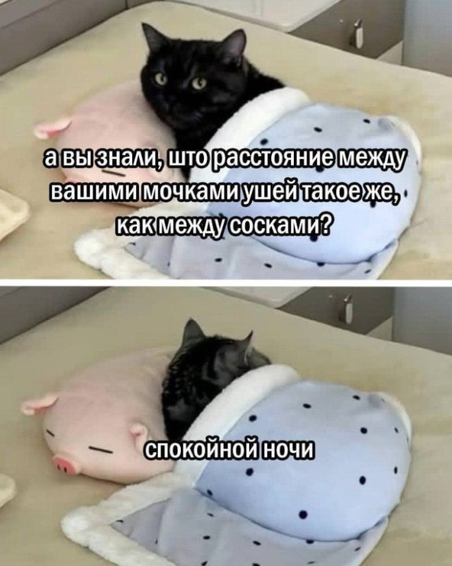 Веселые картинки в понедельник (02.03)