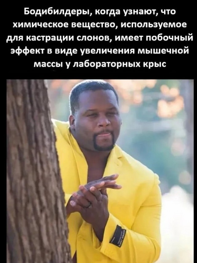 Картиночки, баянчики 12 июня