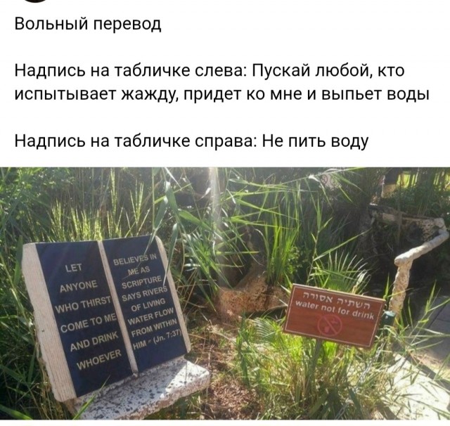 Веселые картинки в пятницу (31.07)