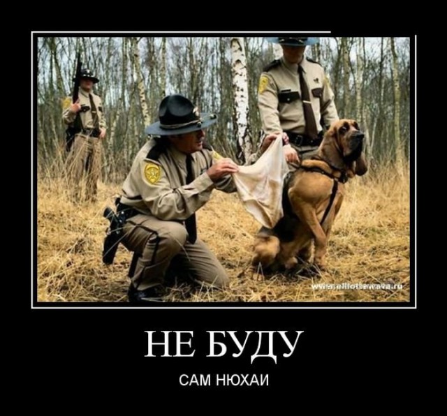 Веселые картинки на пятницу