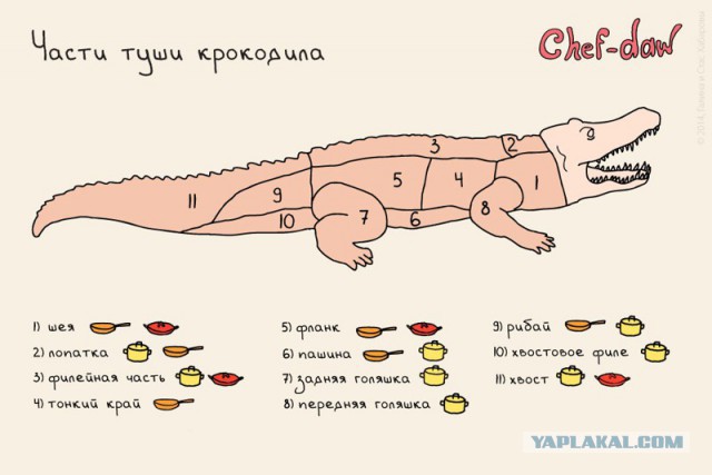 20 шпаргалок, которые пригодятся на кухне