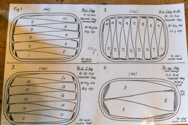 Как в Норвегии шпроты делали