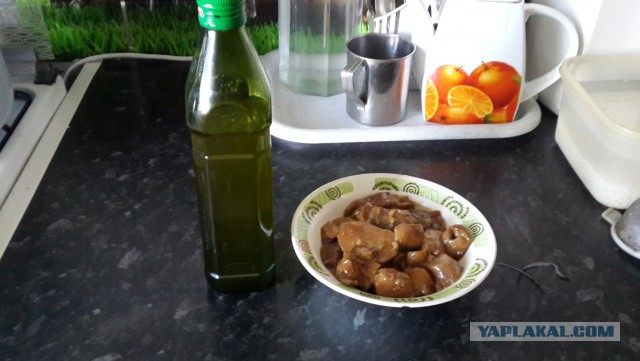 Кухня (кулинарное и околокулинарное общение)
