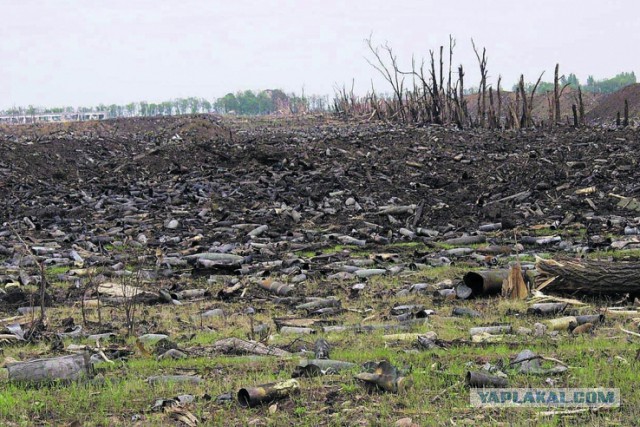 Так выглядят курорты Египта без русских туристов