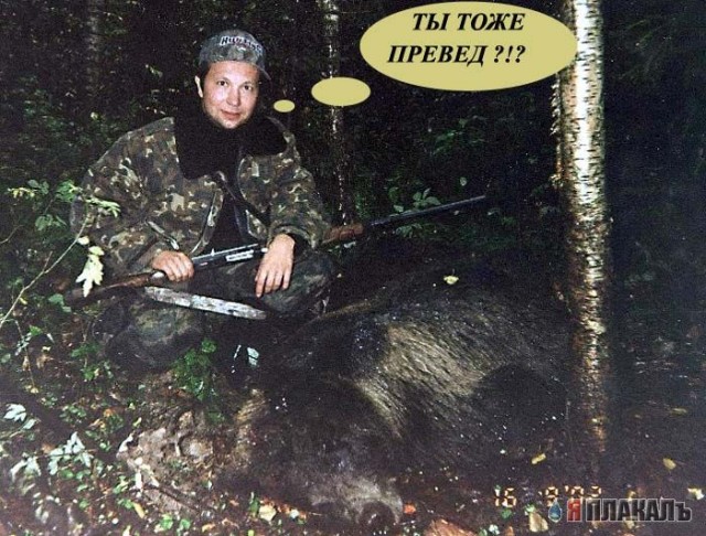 Превед медвед!