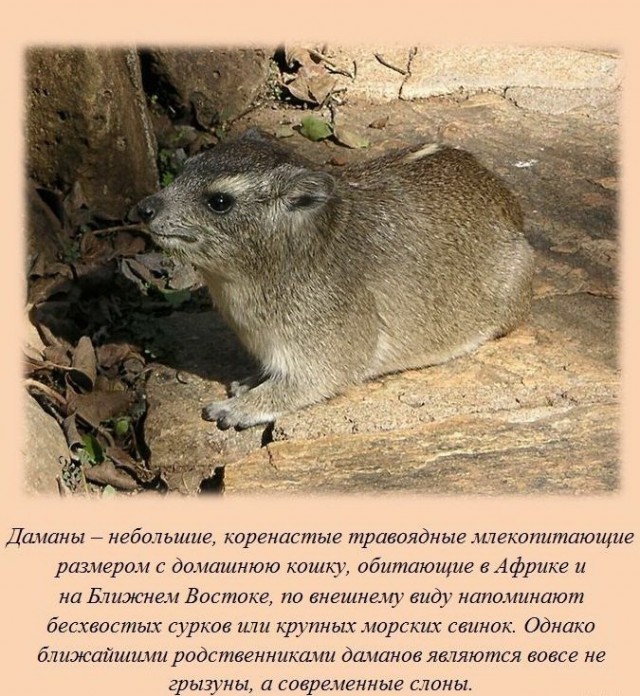 Спорим, вы не знали...