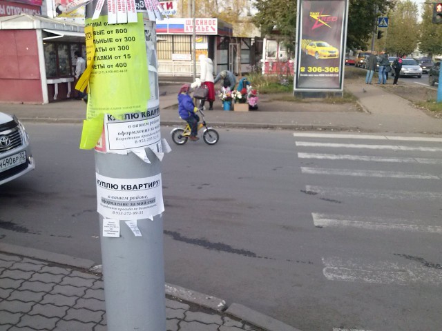 Подборка картинок из сети