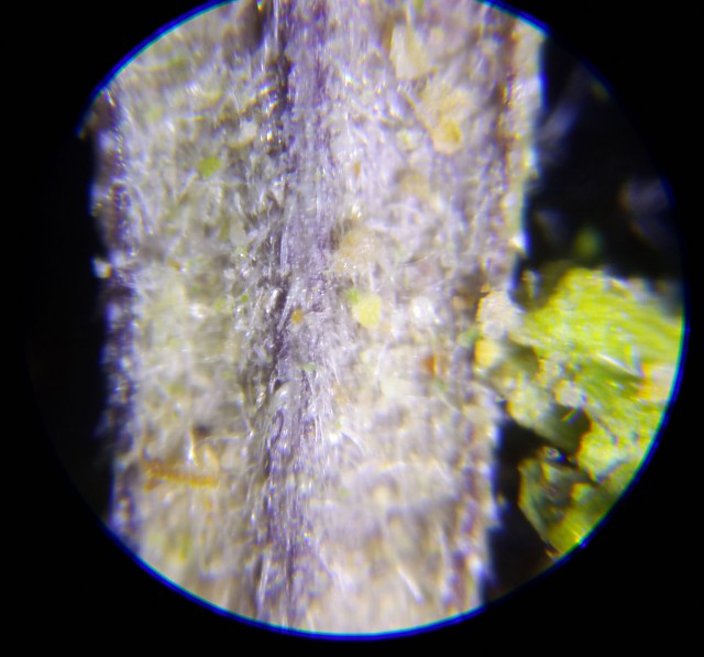 Мир в миллиметре