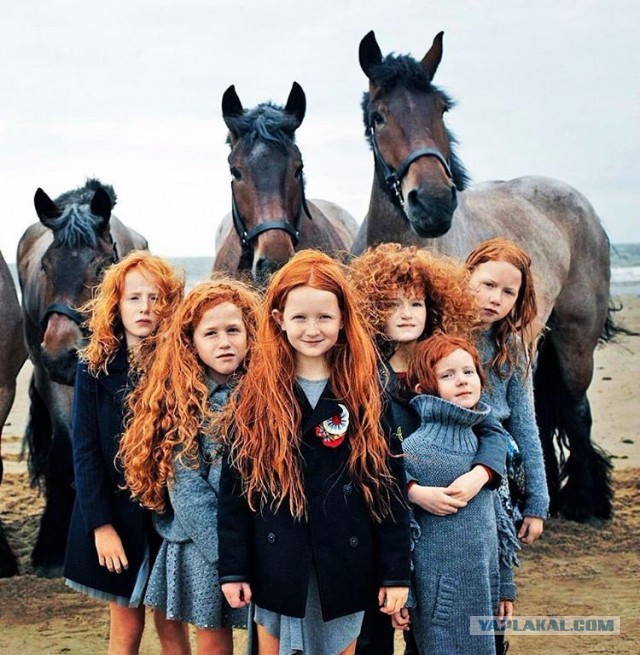 Дети Солнца