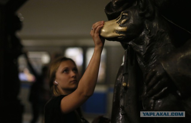 Как бездомные собаки ориентируются в московском метро