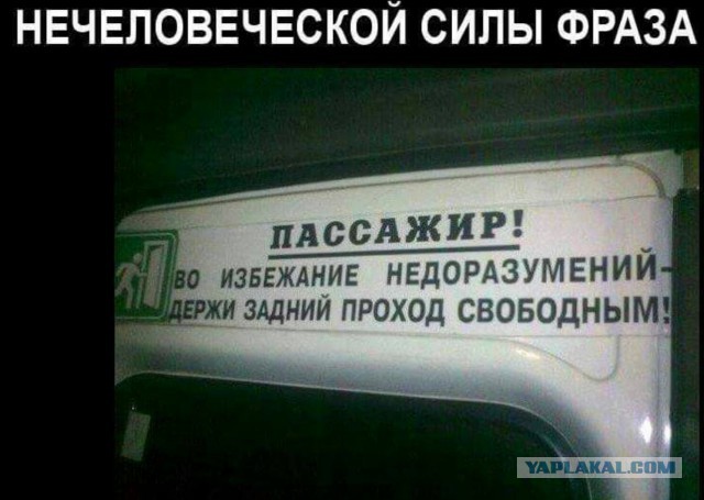 Подборка интересных и веселых картинок