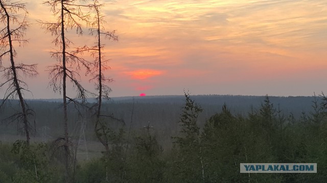 Картинки для отдыха глаз