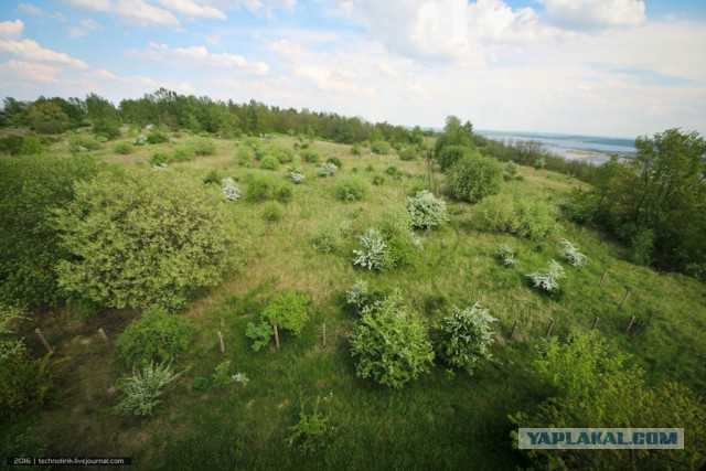 Подводные лодки в лесах Германии