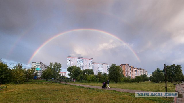 Долгопрудный (фото)