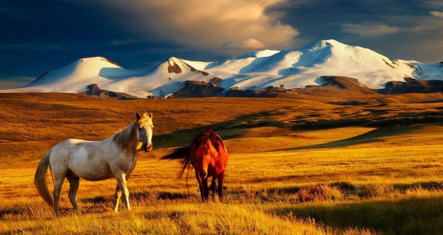 20 фактов о древней и современной Монголии