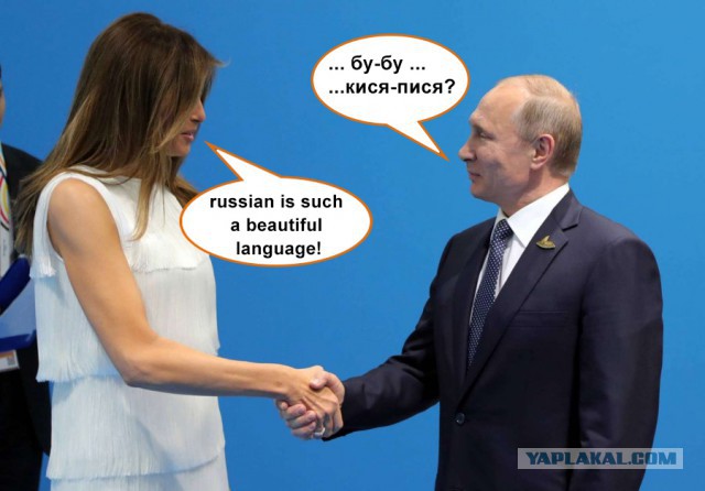 Стало известно, о чём говорили президент РФ и Меланья Трамп