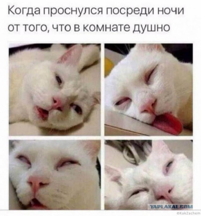 Немного позитива