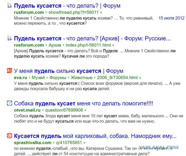 Жительницу Подмосковья ударили шокером из-за пуделя