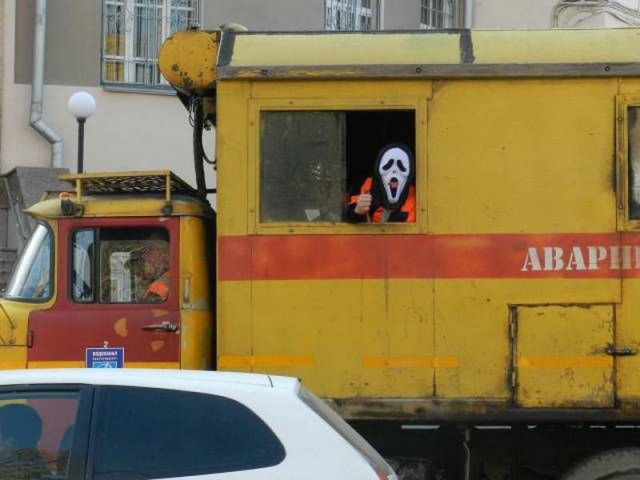 Кого только не встретишь по дороге домой