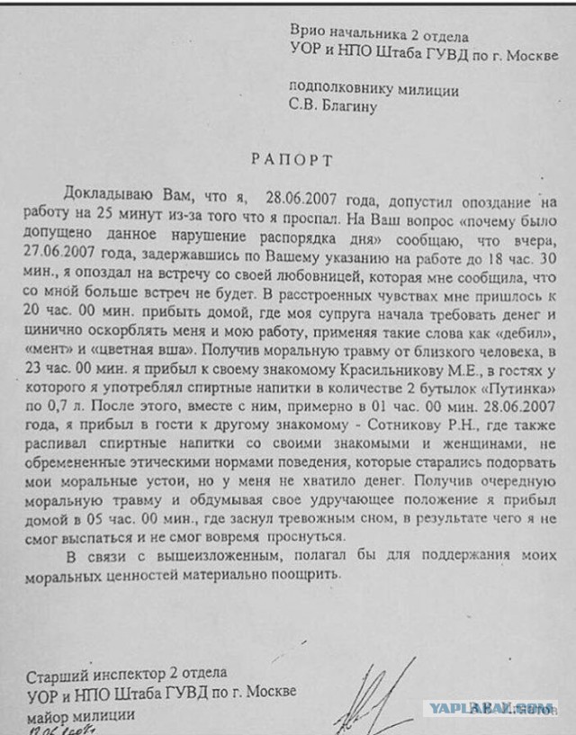 Подборка интересных и веселых картинок