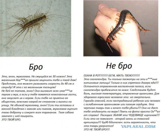 Сказка про Кристину, дочь двух отцов.