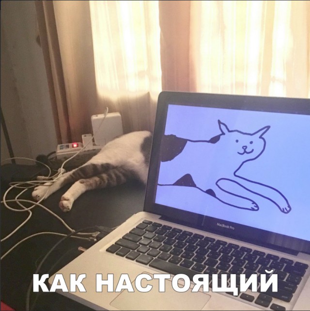 Нестандартный юмор