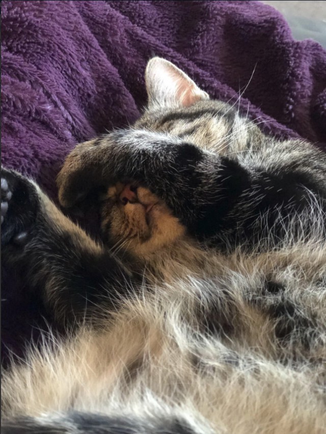 Немного милоты